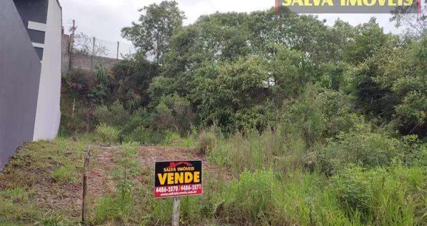 Terreno comercial à venda na Rua Demétrio Leonidas Konidis, 26, Terra Preta, Mairiporã