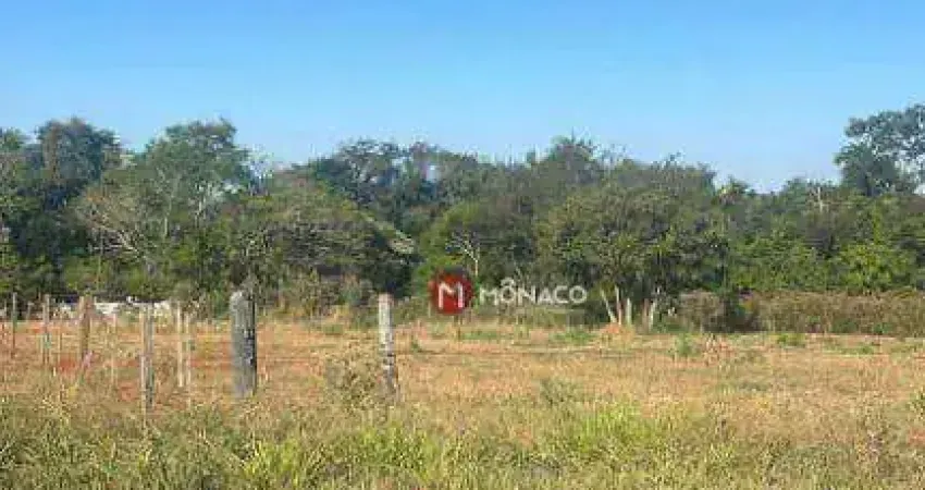 Terreno à venda, 8400 m² por R$ 3.550.000,00 - Estância Cabral - Londrina/PR