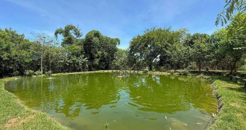 Chácara / sítio com 2 quartos à venda na Rua Guido Spoladore, Gleba Lindóia, Londrina