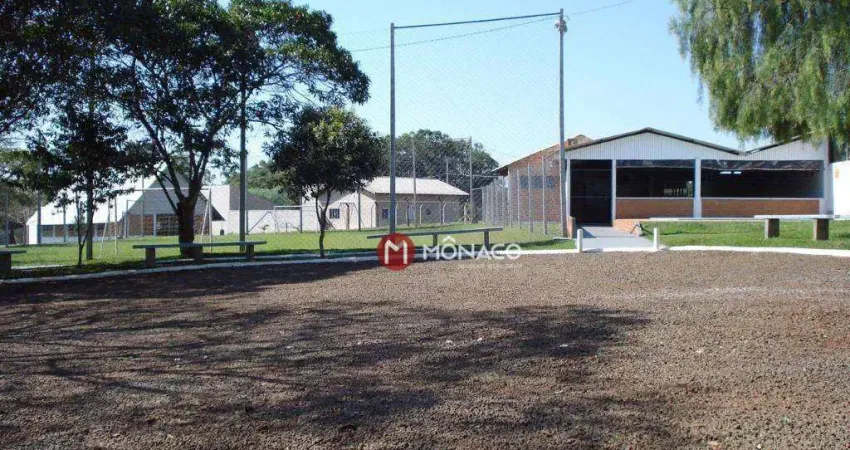 Chácara à venda, 10000 m² por R$ 2.400.000,00 - Espirito Santo - Londrina/PR