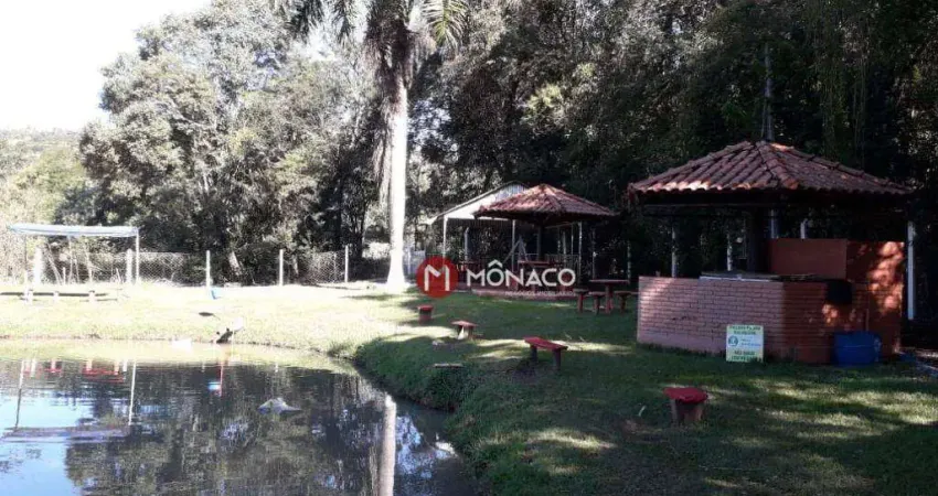 Chácara / sítio com 2 quartos à venda na Estrada Major Archilles Pimpão, Jardim Vale Verde, Londrina