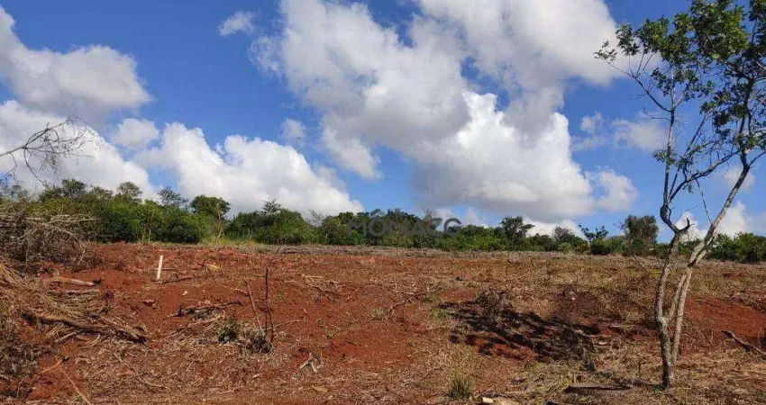 Terreno à venda na Rua Albano Finotti, Dom Pedro I, Londrina