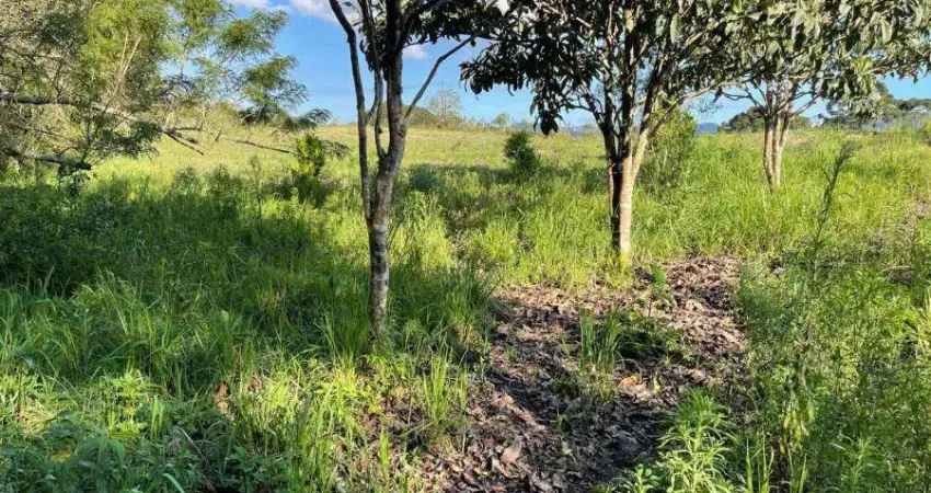 Terreno comercial à venda na Área Rural, 000, Zona Rural, São José dos Pinhais