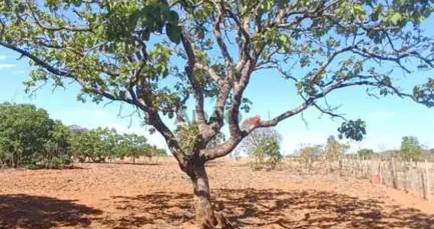 Chácara / sítio à venda na Área Rural Rua Fronteiras, Zona Rural, Hidrolândia