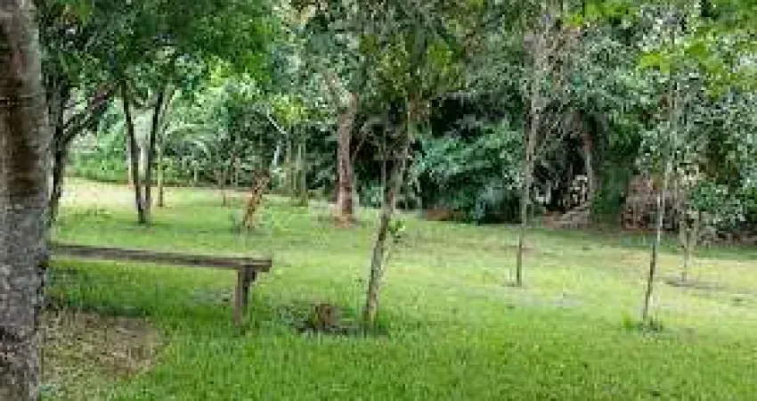 Chácara / sítio com 3 quartos à venda na Rua 2, 478, Chácaras Califórnia, Goiânia