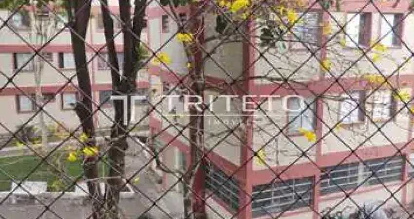 Apartamento com 3 quartos à venda, 70 m²- Vila Constança - São Paulo/SP