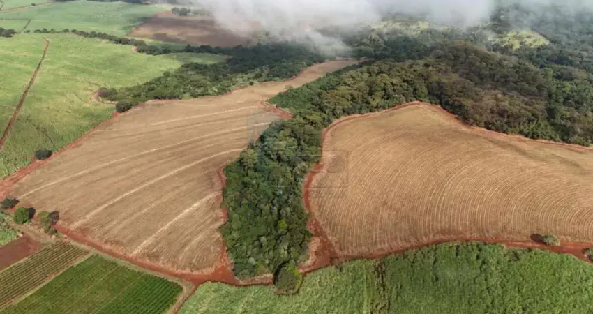 Fazenda à venda na Zona Rural, Jardinópolis