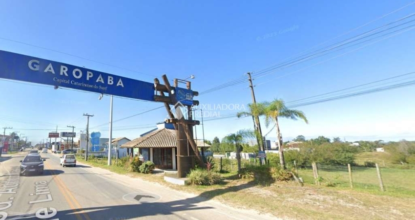 Terreno comercial à venda na Abílio Manoel De Lima, 3542, Campo Duna, Garopaba