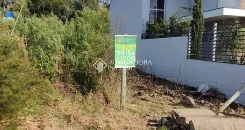 Terreno à venda na Estrada Municipal Manoel Pedrotti, 999, Diamantino, Caxias do Sul