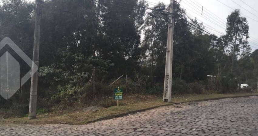 Terreno em condomínio fechado à venda na Rua Aurélio Dal Zotto, 1, Desvio Rizzo, Caxias do Sul
