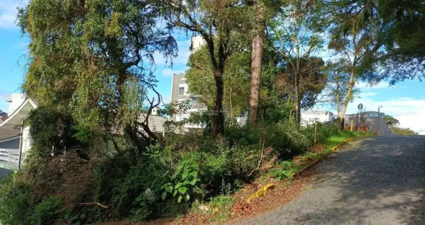 Terreno à venda na Rua Adalberon Cruz, 999, Bela Vista, Caxias do Sul
