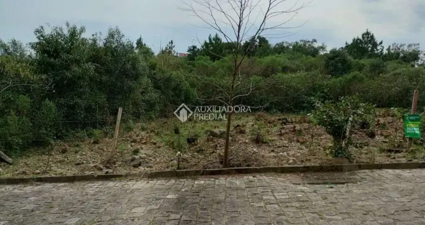 Terreno à venda na Alberto Vacchi, 999, Desvio Rizzo, Caxias do Sul