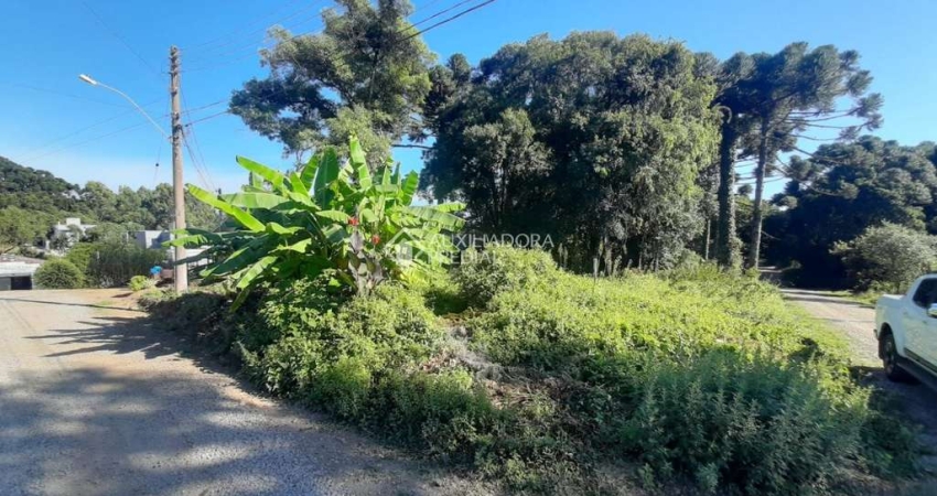 Terreno à venda na Rua Jacinto Basso, 999, Ana Rech, Caxias do Sul