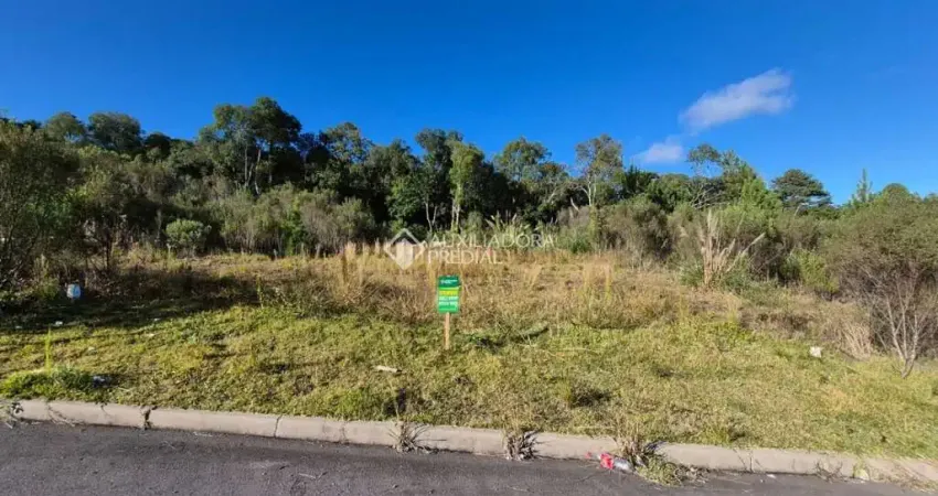 Terreno à venda na Rua Vereador Pedro Rech, 513, São Giácomo, Caxias do Sul