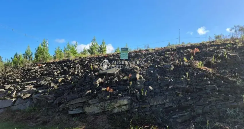 Terreno à venda na Rua Irma Pienegonda Bettega, 999, São Giácomo, Caxias do Sul