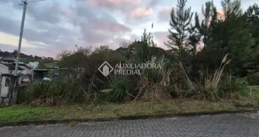 Terreno à venda na Vitorino Swaisser, 999, São Caetano, Caxias do Sul