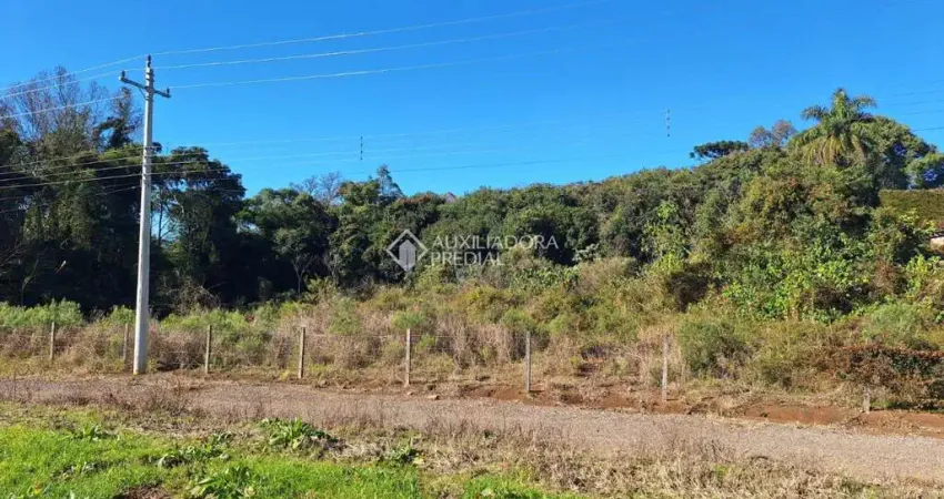 Terreno comercial à venda na Rua Travessão Thompson Flores, 00, Nossa Senhora da Saúde, Caxias do Sul