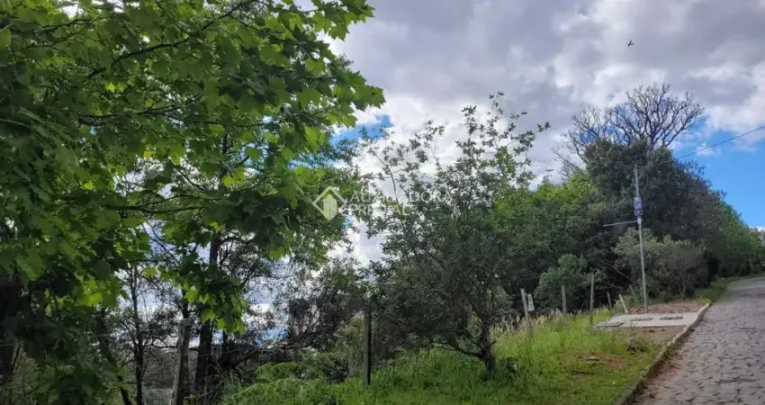 Terreno à venda na Estrada Municipal Benvenuto Toss, 000, São Luiz, Caxias do Sul