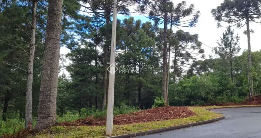 Terreno à venda na Waldi Kich, 999, Dutra, Gramado