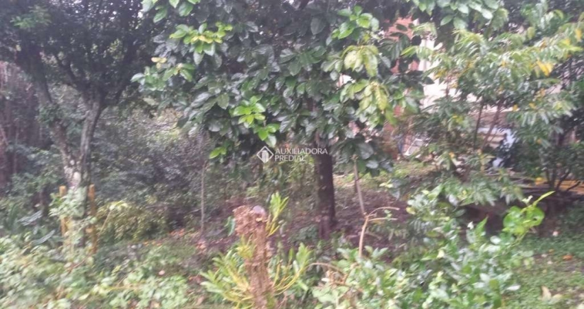 Terreno à venda na Tristão Oliveira, 663, Floresta, Gramado