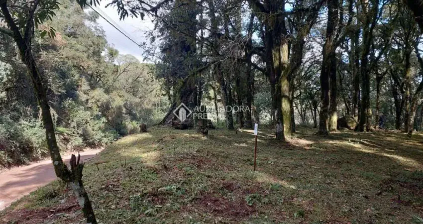 Terreno à venda na Doutor Rui Vianna Rocha, 6, São Luiz, Canela