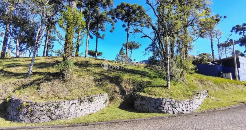 Terreno em condomínio fechado à venda na Rs 235 Km 32, 235, Aspen Mountain, Gramado