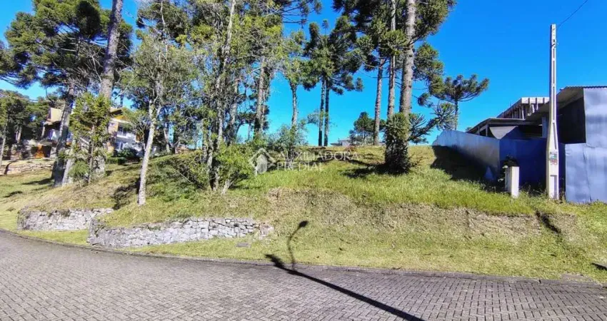 Terreno em condomínio fechado à venda na Rs 235 Km 32, 235, Aspen Mountain, Gramado