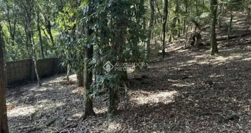 Terreno em condomínio fechado à venda na Laurindo Comiotto, 60, Lagos do Bosque, Gramado