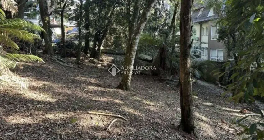 Terreno em condomínio fechado à venda na Laurindo Comiotto, 60, Lagos do Bosque, Gramado