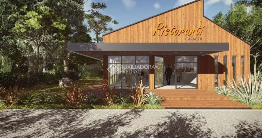 Terreno comercial à venda na Rs 466, 6000, Parque Pinheiro Grosso, Canela