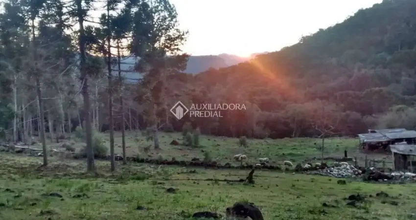 Fazenda à venda na Caracol, 120, Zona Rural, Canela