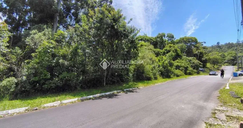 Terreno comercial à venda na Francisco Cicarolli, 300, Várzea Grande 1º de Maio, Gramado