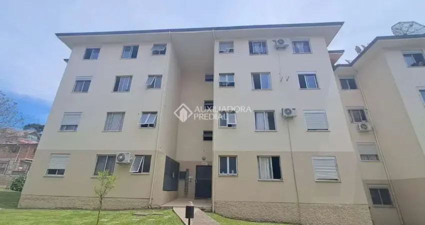 Apartamento com 2 quartos à venda na Homero Pacheco, 909, Ulisses de Abreu, Canela