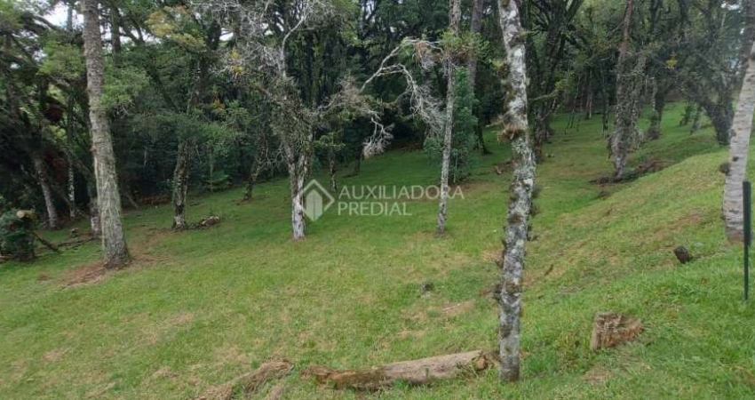 Terreno em condomínio fechado à venda na QUADRA C  LOTE 6, 6, Centro, Canela