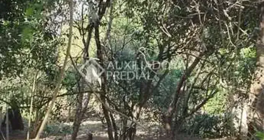 Terreno à venda na Maria, Dona, 150, Ermo, Guaíba
