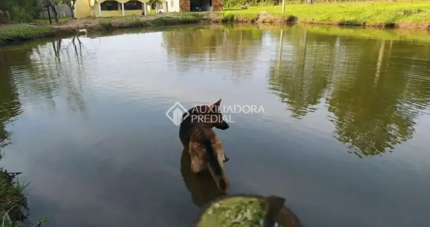 Fazenda à venda na Estrada Passo do Morrinho, 4730, Fiuza, Viamão