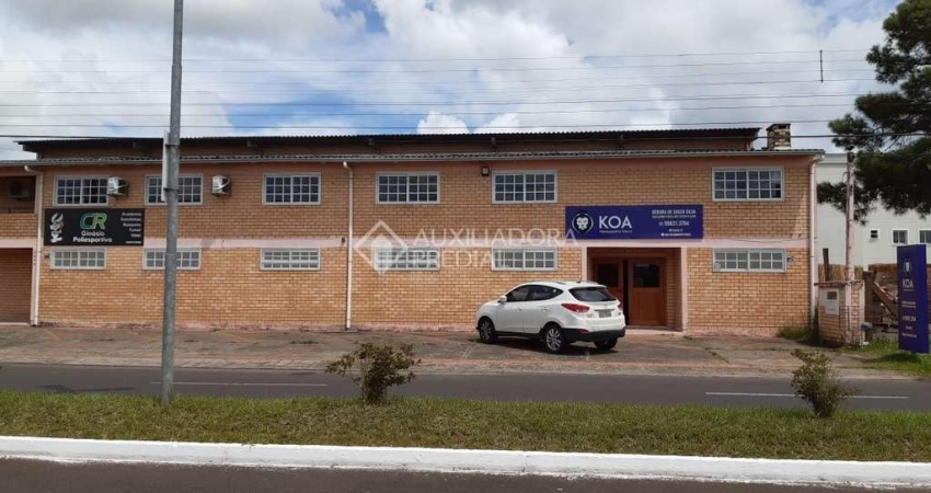 Barracão / Galpão / Depósito à venda na Santos Dumont, 2434, Albatroz, Osório