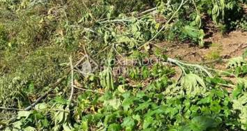 Terreno à venda na Rua Dolores Duran, 337, Lomba do Pinheiro, Porto Alegre