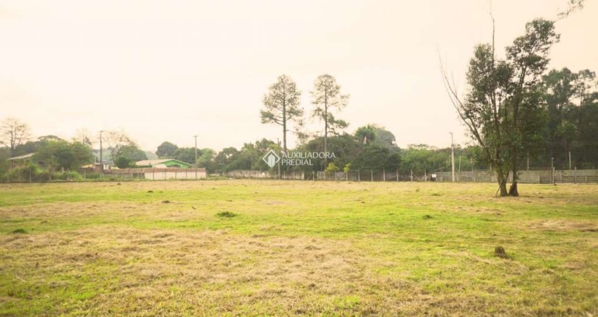 Terreno à venda na 20 De Março, 1357, Berto Círio, Nova Santa Rita