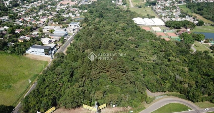Terreno comercial à venda na RS - 239, 10, Imigrante, Campo Bom