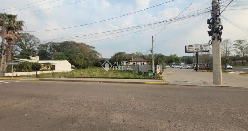 Terreno comercial à venda na Alberto Rubenich, 7710, Travessão, Dois Irmãos