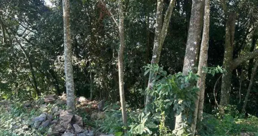Terreno à venda na Veranopolis, 3, Pousada da Neve, Nova Petrópolis