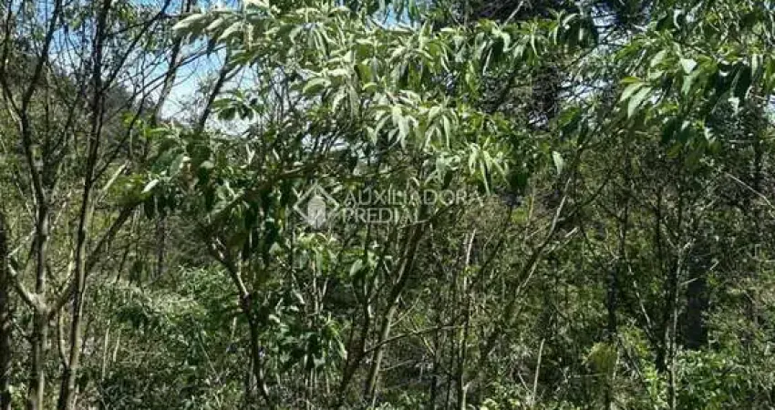 Terreno à venda na Bosque Dos Ipês, 00, Linha Imperial, Nova Petrópolis