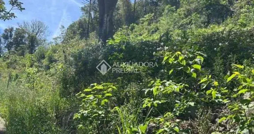 Terreno à venda na Bosque Das Coníferas, 01, Linha Imperial, Nova Petrópolis