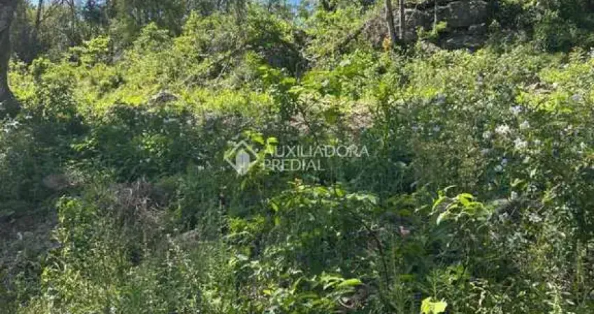 Terreno à venda na Bosque Das Coníferas, 00, Linha Imperial, Nova Petrópolis