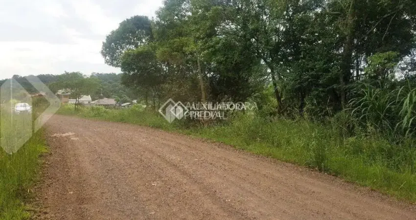 Terreno à venda na PEDRO ENZWEILER, 2300, Travessão, Dois Irmãos
