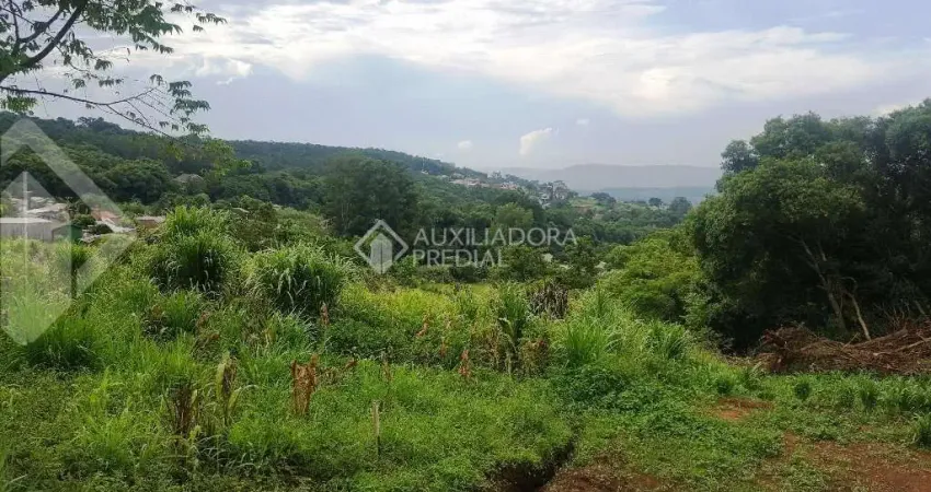 Terreno à venda na PEDRO ENZWEILER, 2290, Travessão, Dois Irmãos