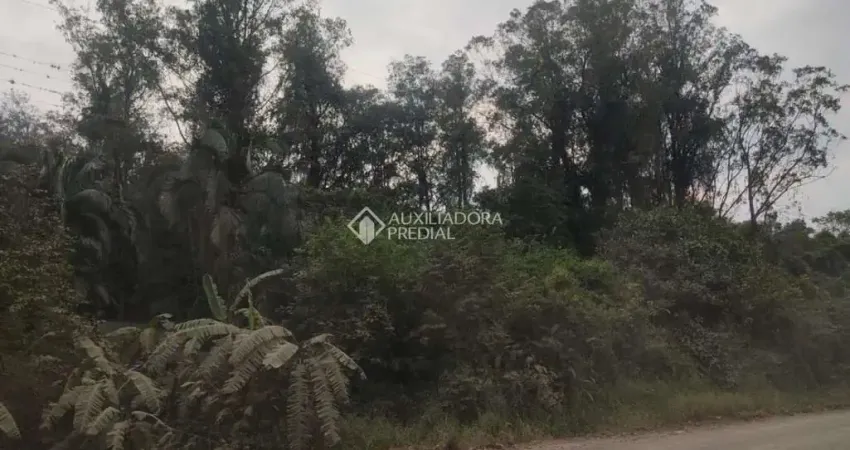 Fazenda à venda na Do Comércio, 00, Barra Do Ouro, Maquiné