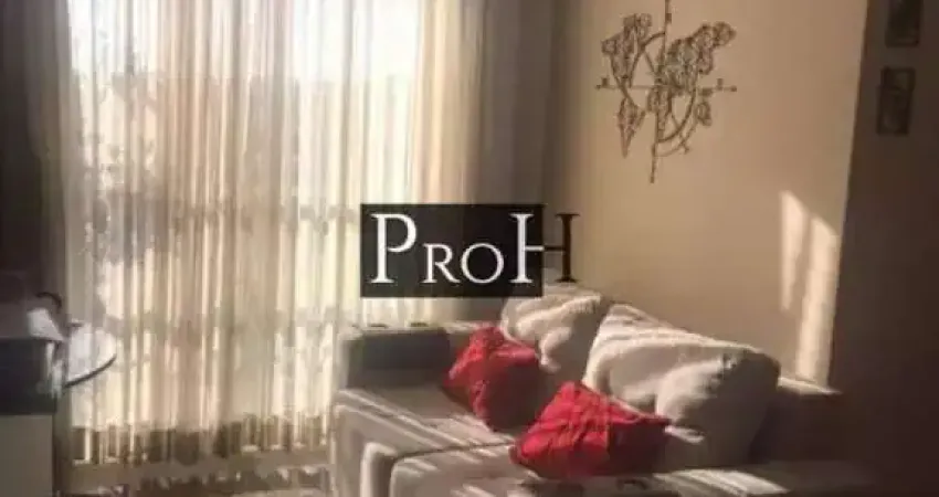 Apartamento para locação 3 quartos Vila Metalúrgica Santo André