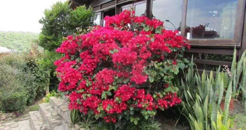 Casa com 4 quartos à venda na Rua Antônio Mendonça de Souza, Alpes Suiços, Gravatá